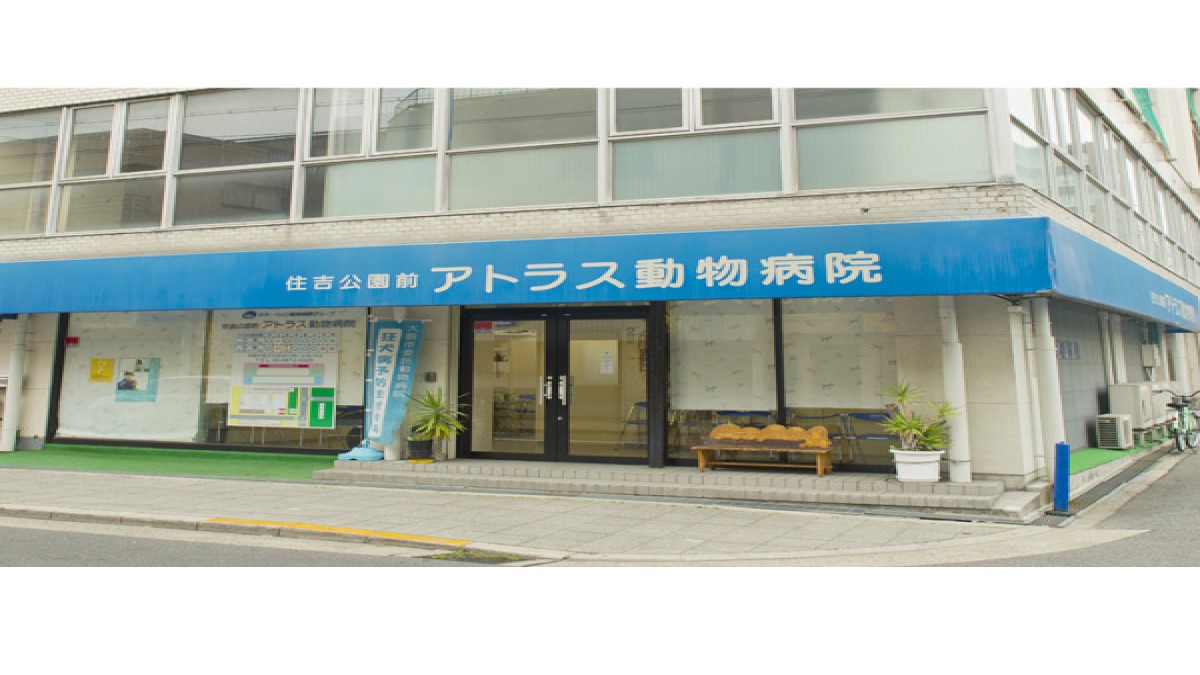 アトラス動物病院