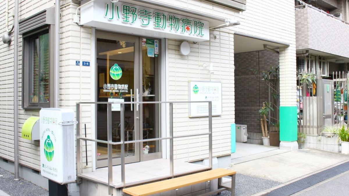 小野寺動物病院