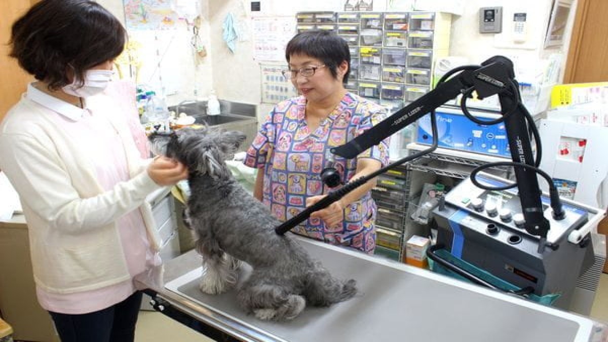 ベルどうぶつクリニック