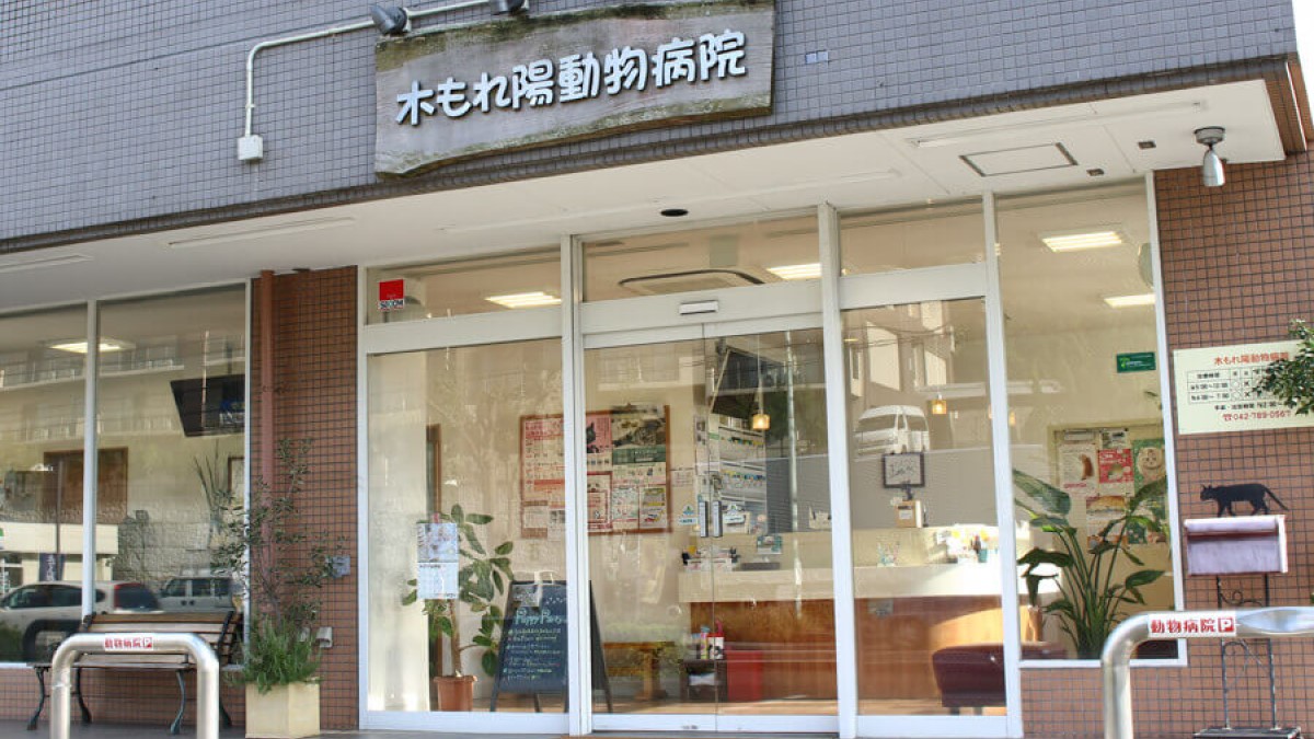 木もれ陽動物病院スタッフ写真