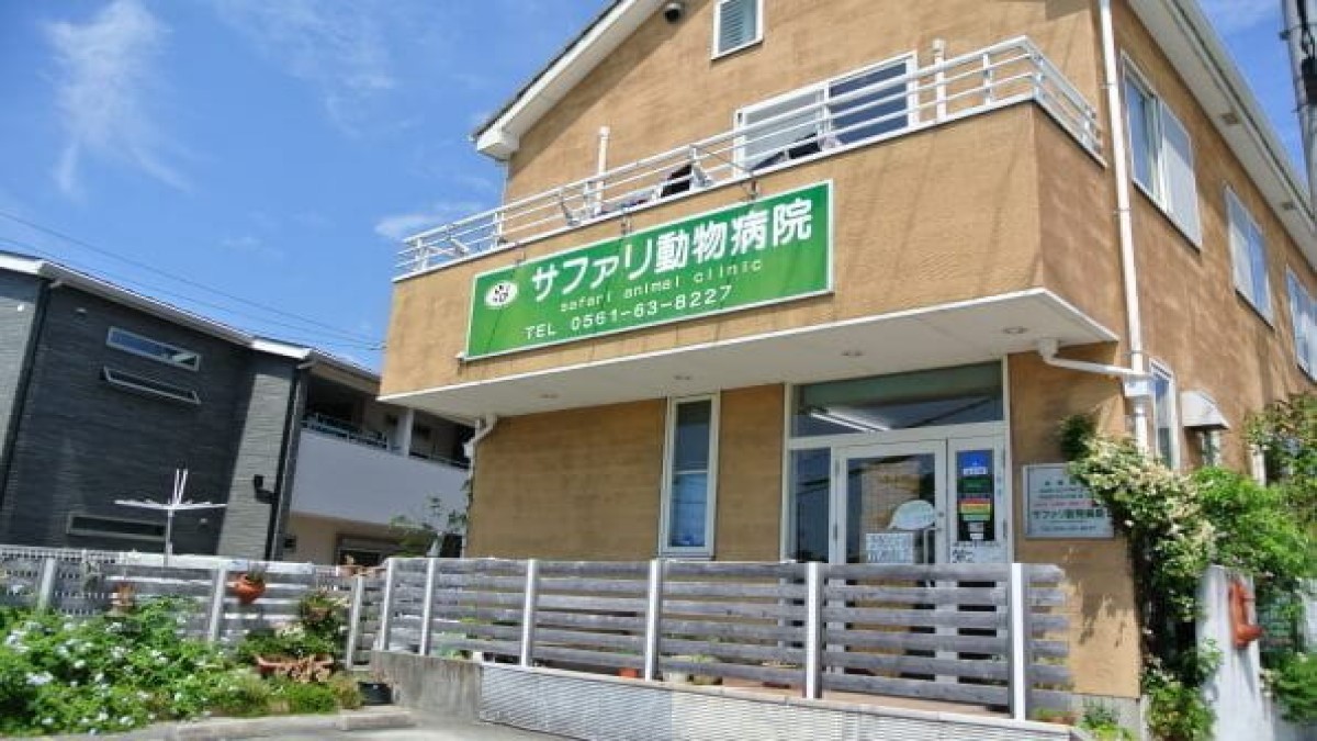 サファリ動物病院