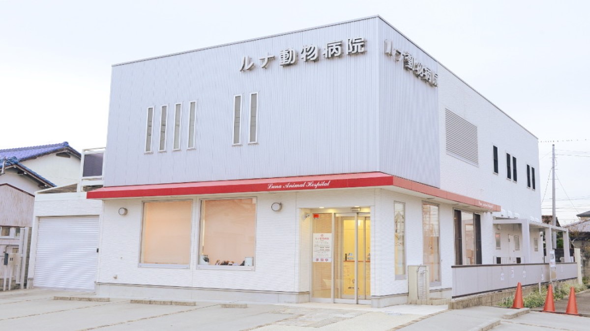 ルナ動物病院