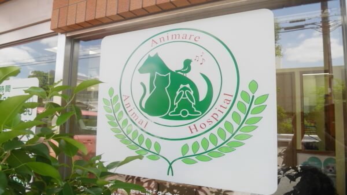 アニマーレ動物病院