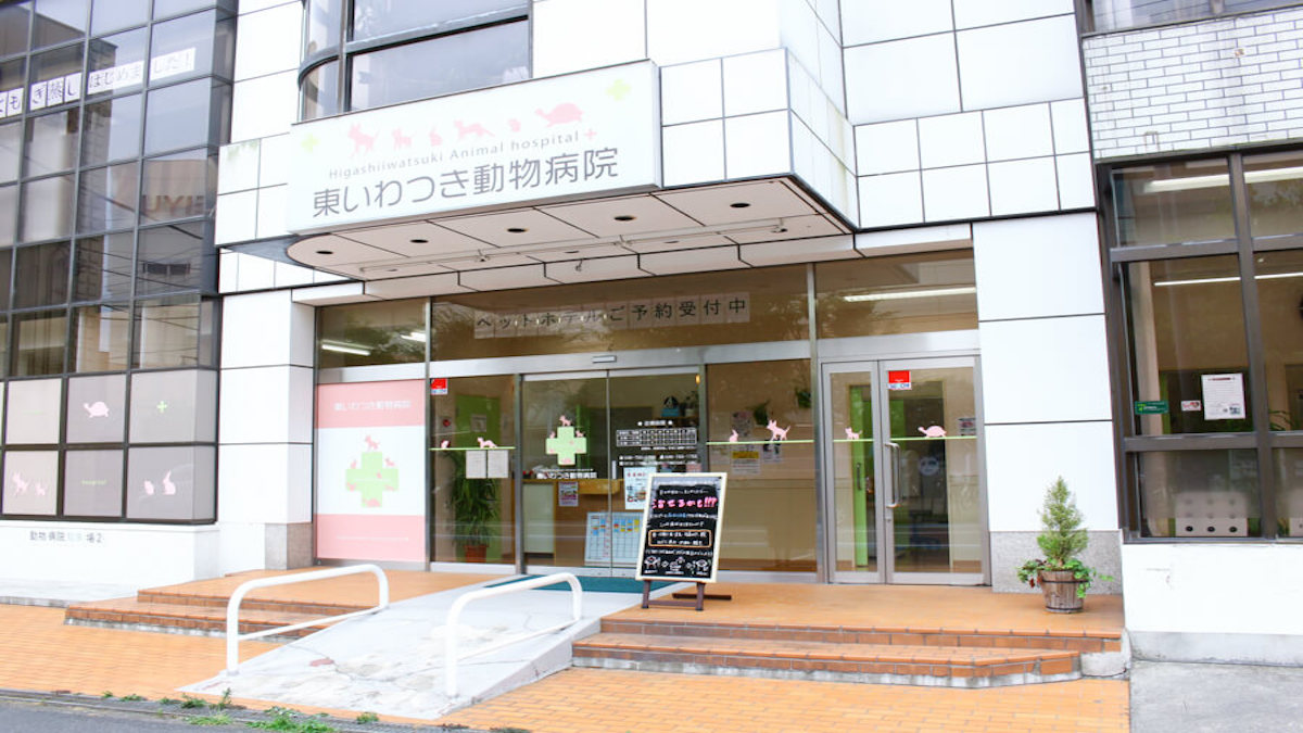 東いわつき動物病院