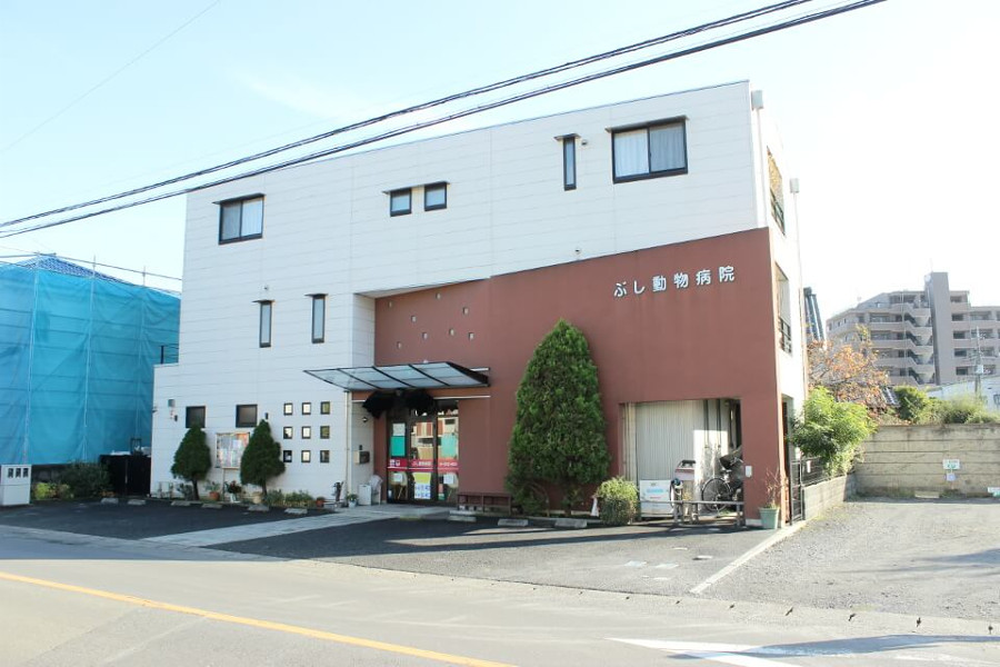 ぶし動物病院