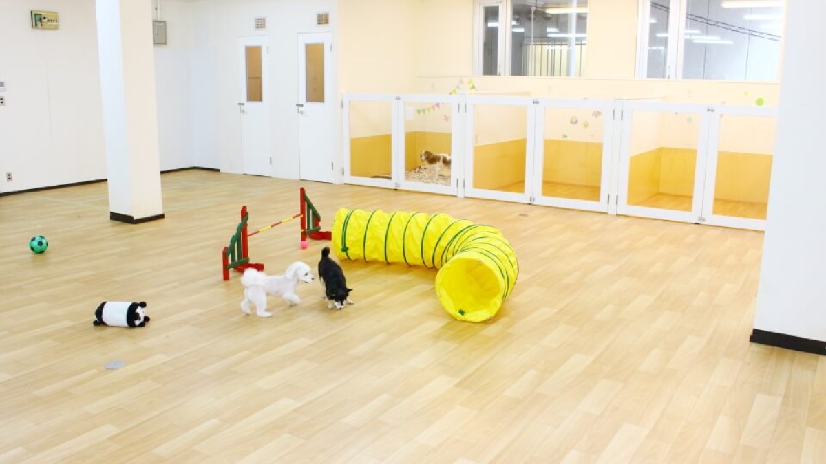 アニファ動物病院 柏病院