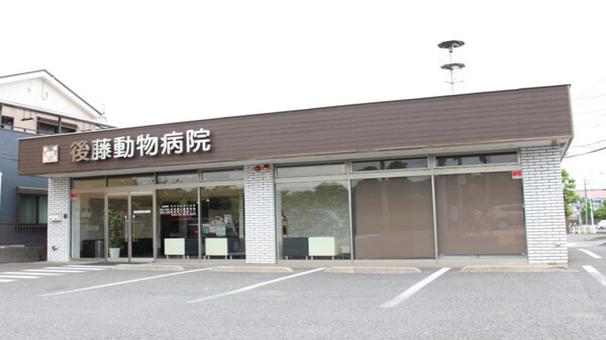 後藤動物病院