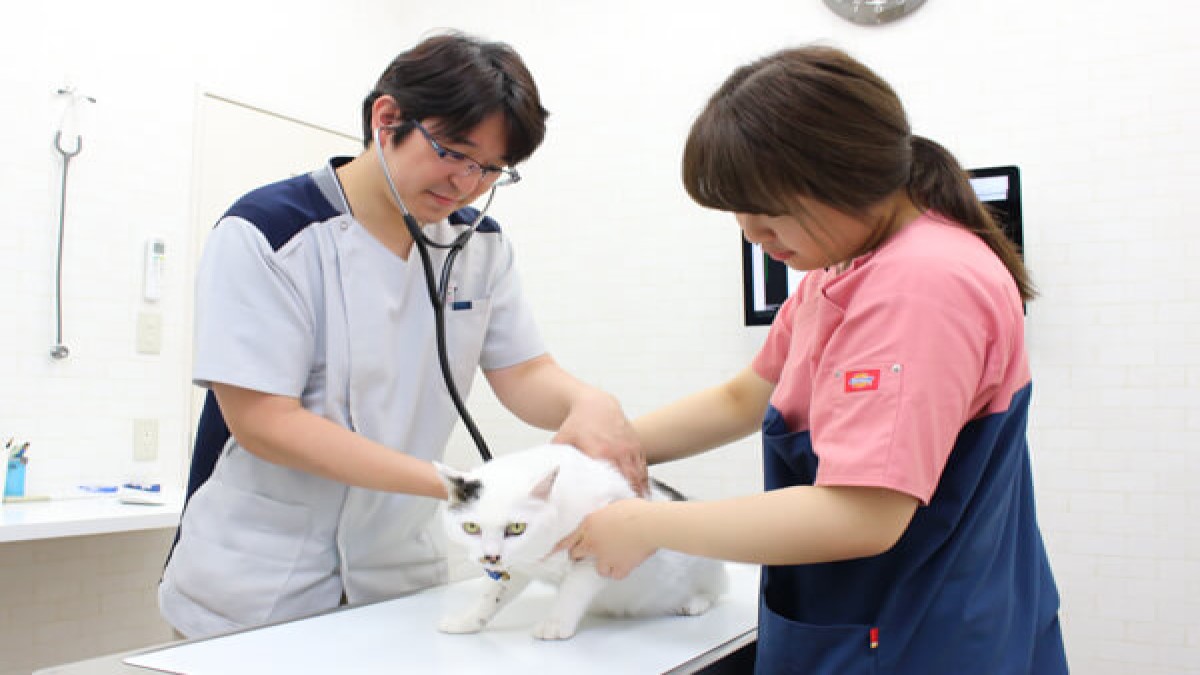 後藤動物病院