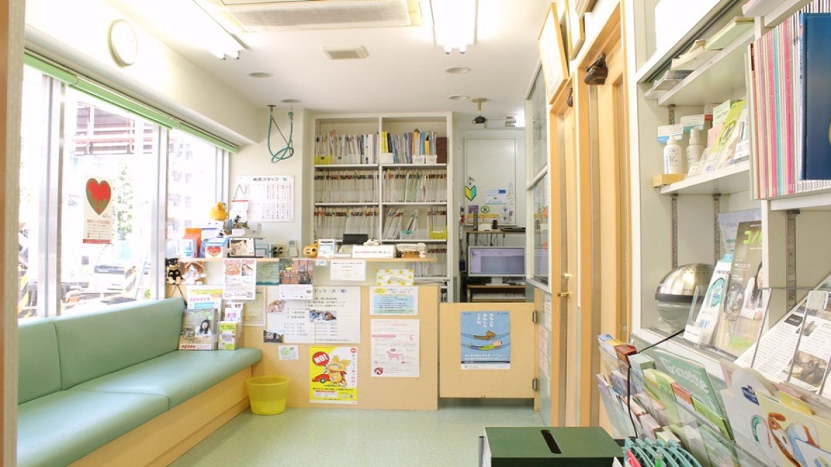 池田動物病院