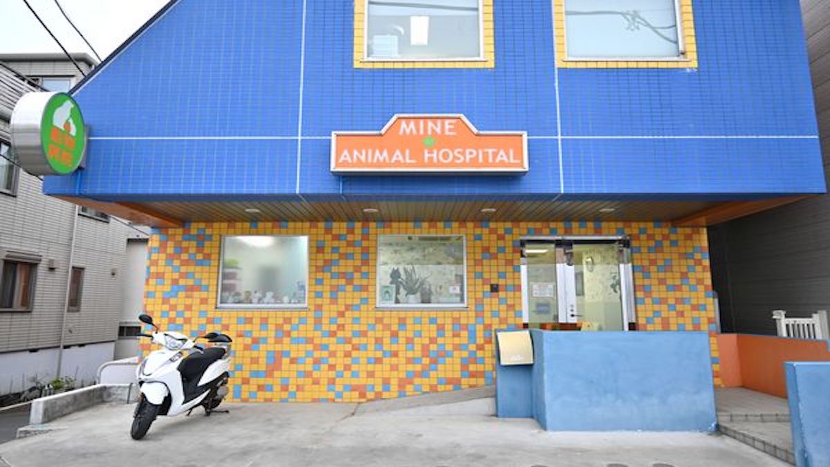 峰動物病院