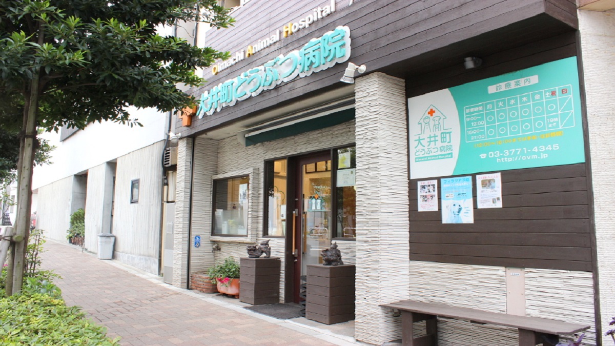 大井町どうぶつ病院