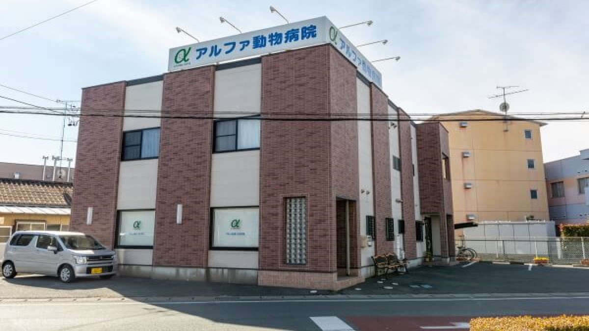 アルファ動物病院
