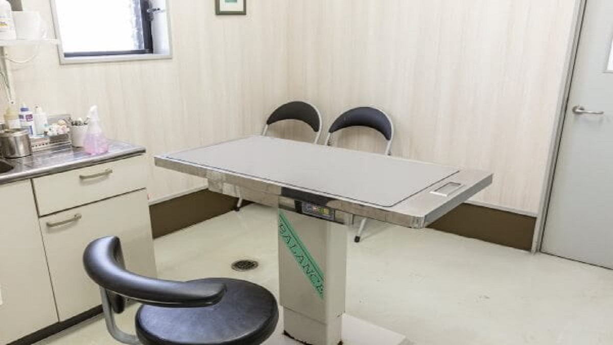 アルファ動物病院