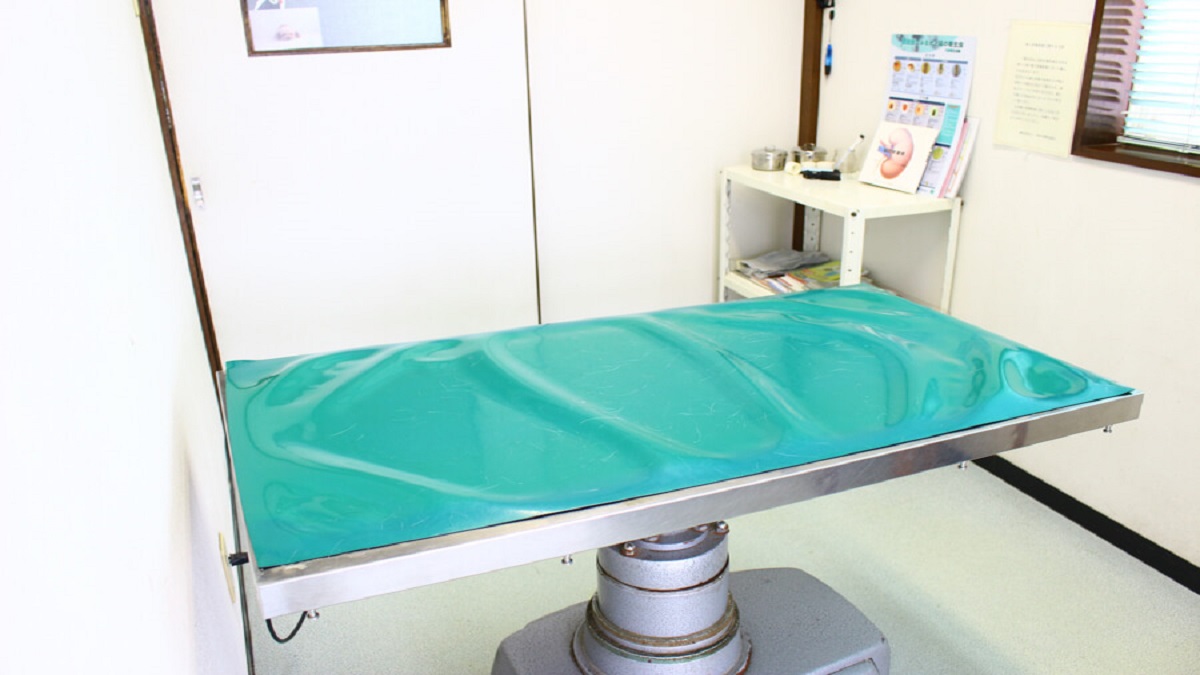 いしかわ動物病院