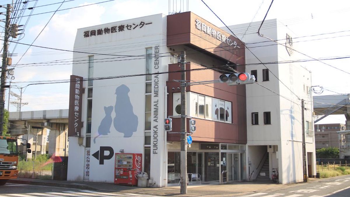 福岡動物医療センター