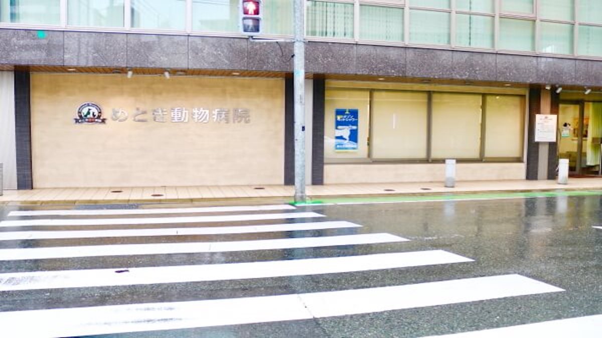 めとき動物病院