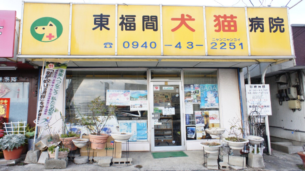 東福間犬猫病院