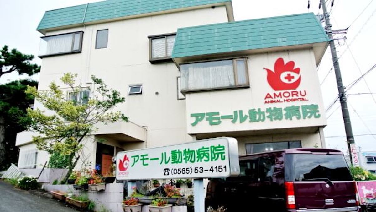 アモール動物病院