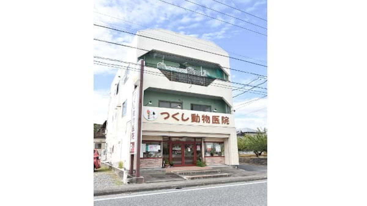 つくし動物医院