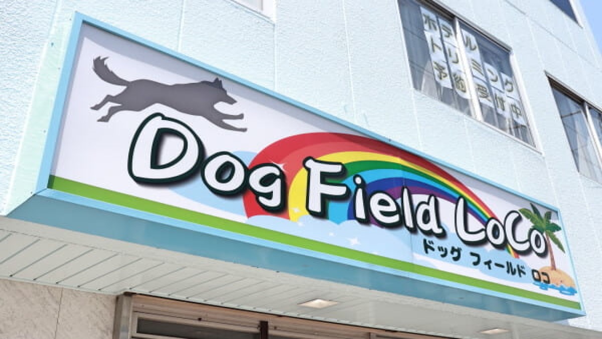 Dog Field LOCO外観