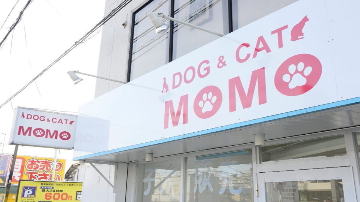 DOG&CAT MOMO外観