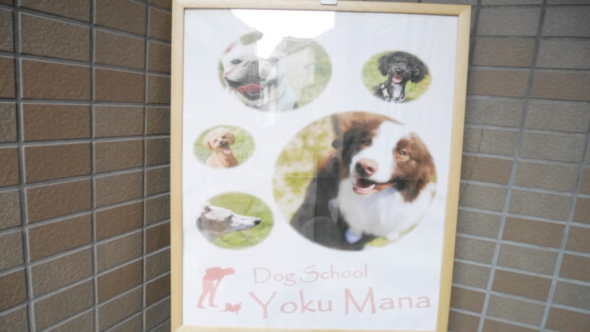 Dog School Yoku Mana外観