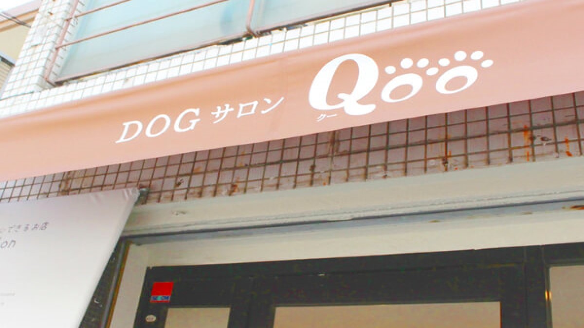 Dog サロン Qoo 西宮店