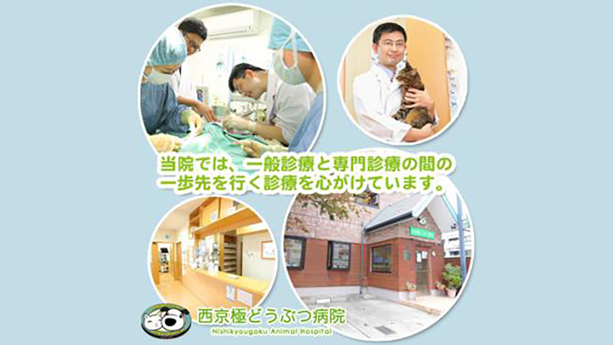 西京極どうぶつ病院