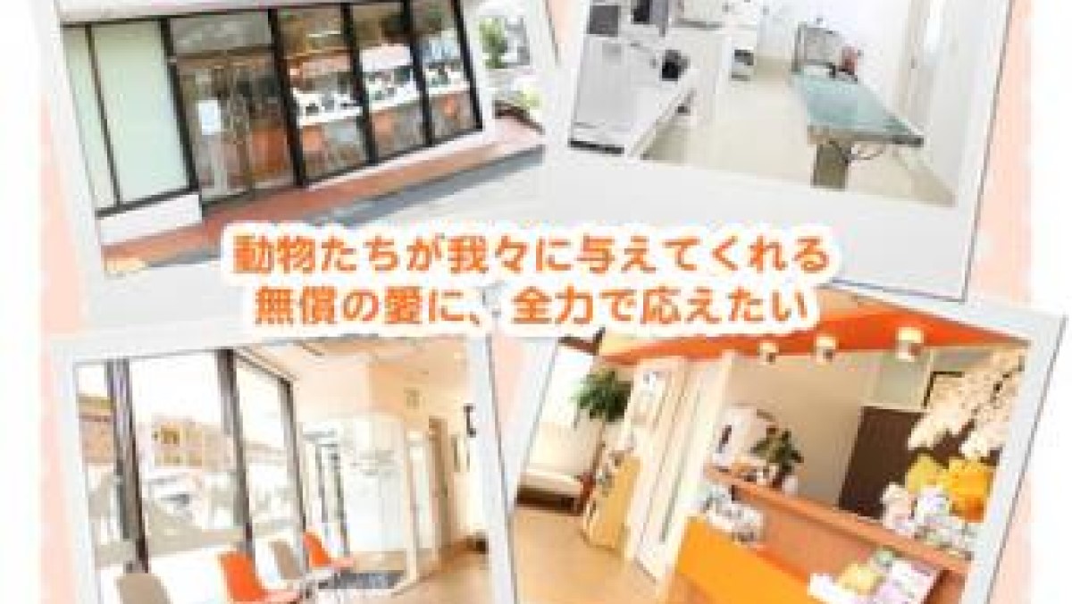おかの動物病院