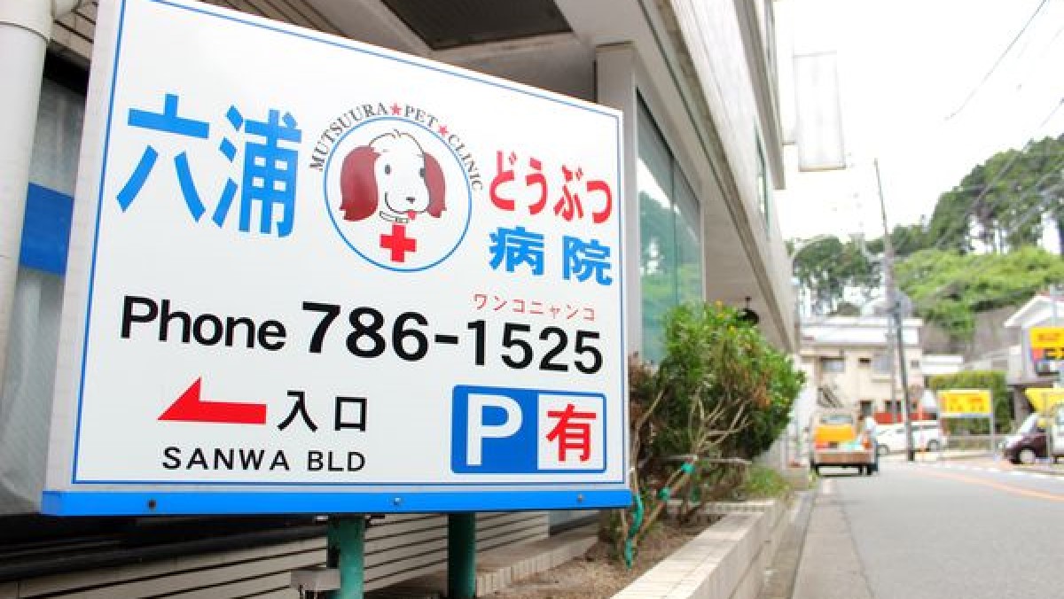 六浦動物病院