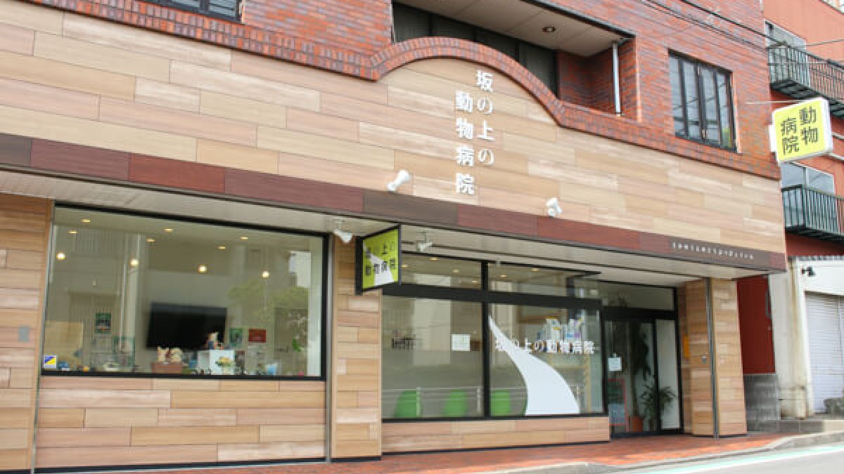 坂の上の動物病院