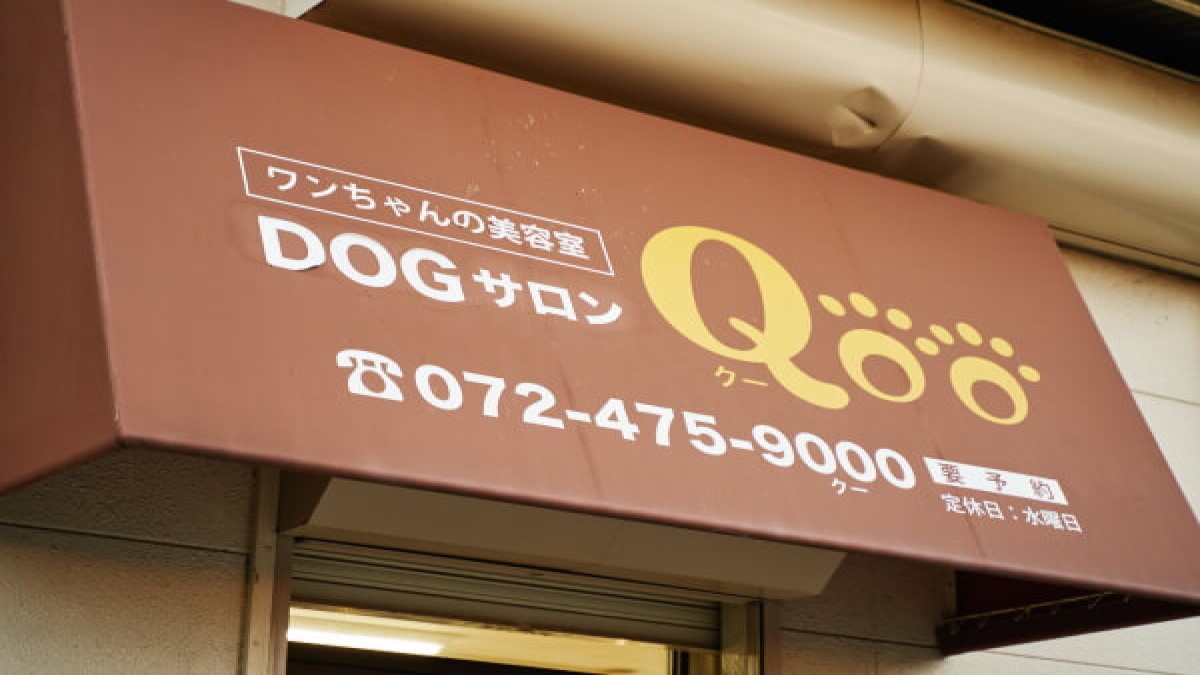 Dog サロン Qoo 泉佐野店