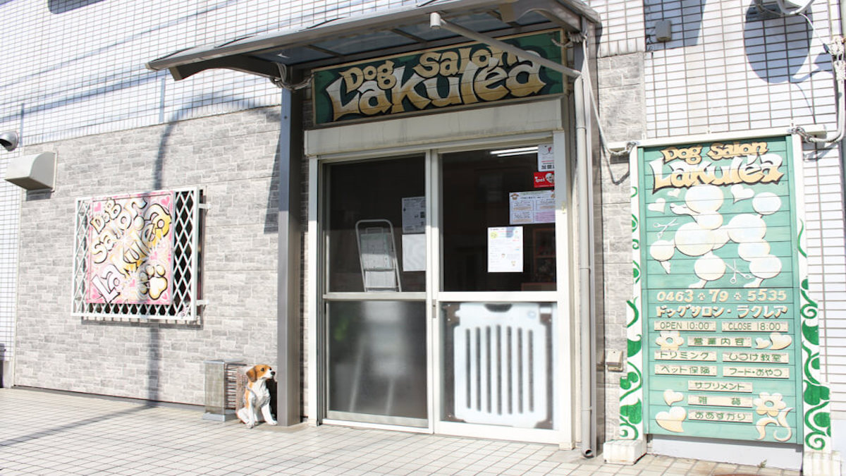 Dog salon La kule’a外観