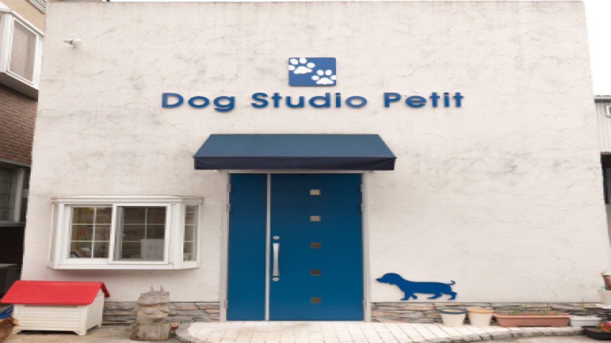 Dog Studio Petit外観