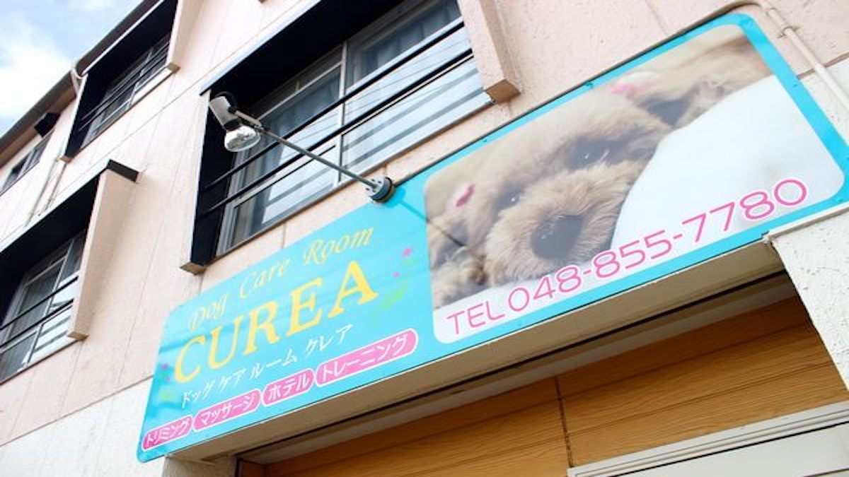 Dog Care Room CUREA