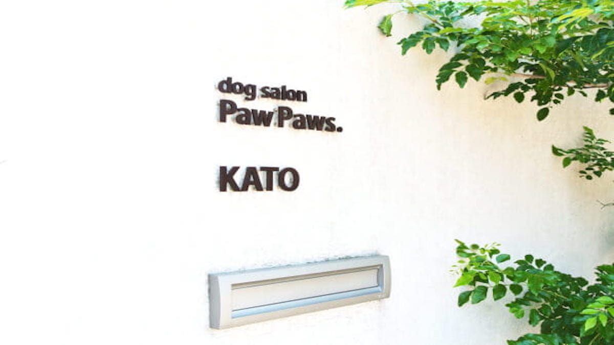 dog salon Paw Paws.