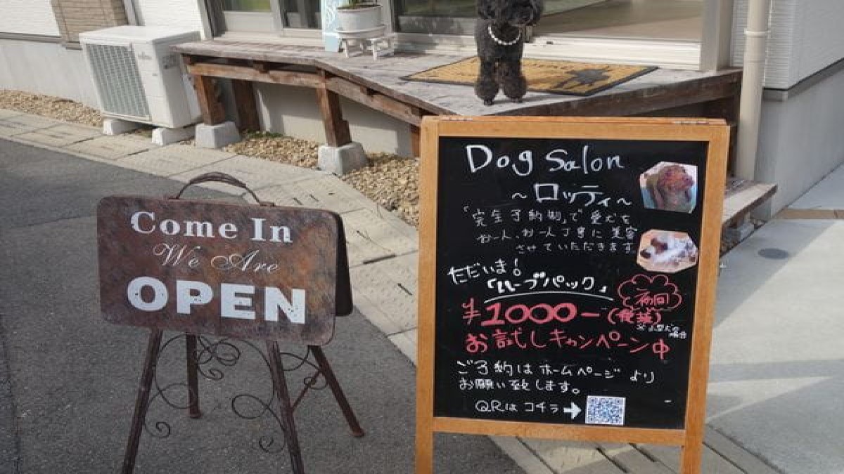 Dog salon Lotti