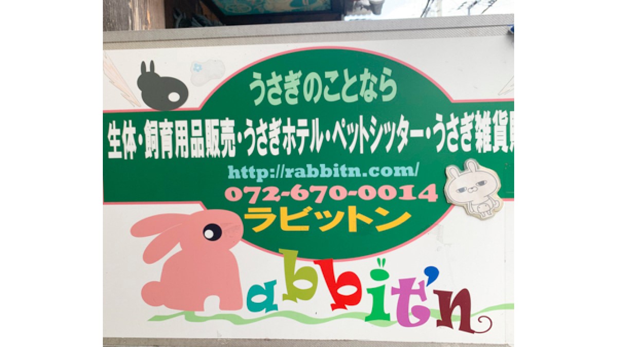 Rabbit'n(ウサギ専門）