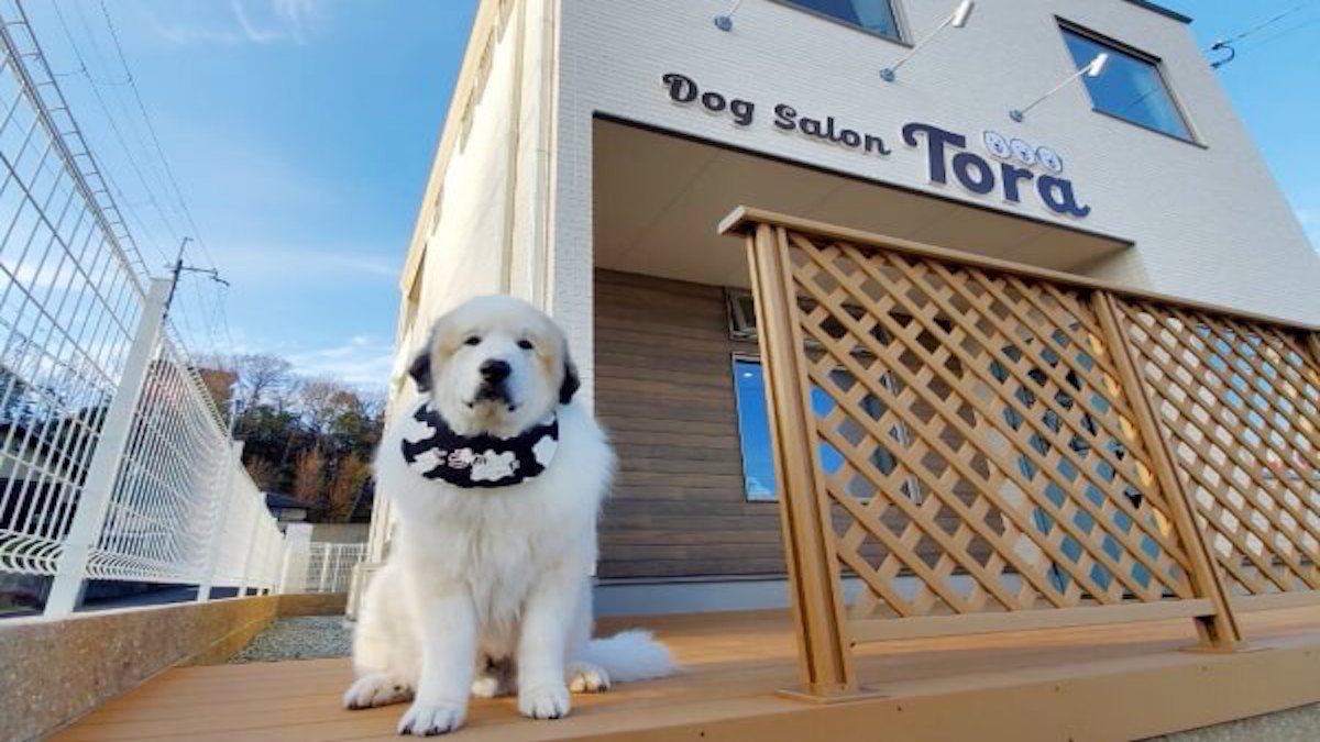 Dog Salon Tora外観