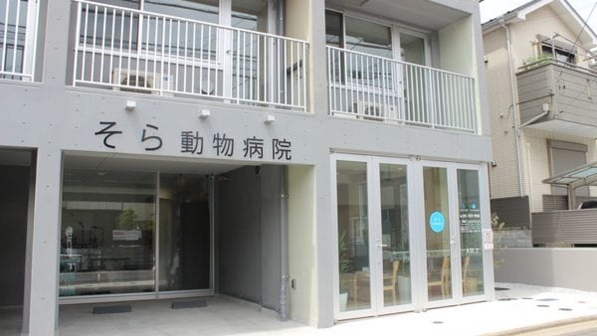 そら動物病院